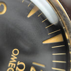 Omega Seahorse Series 41 234.92.41.21.10.001