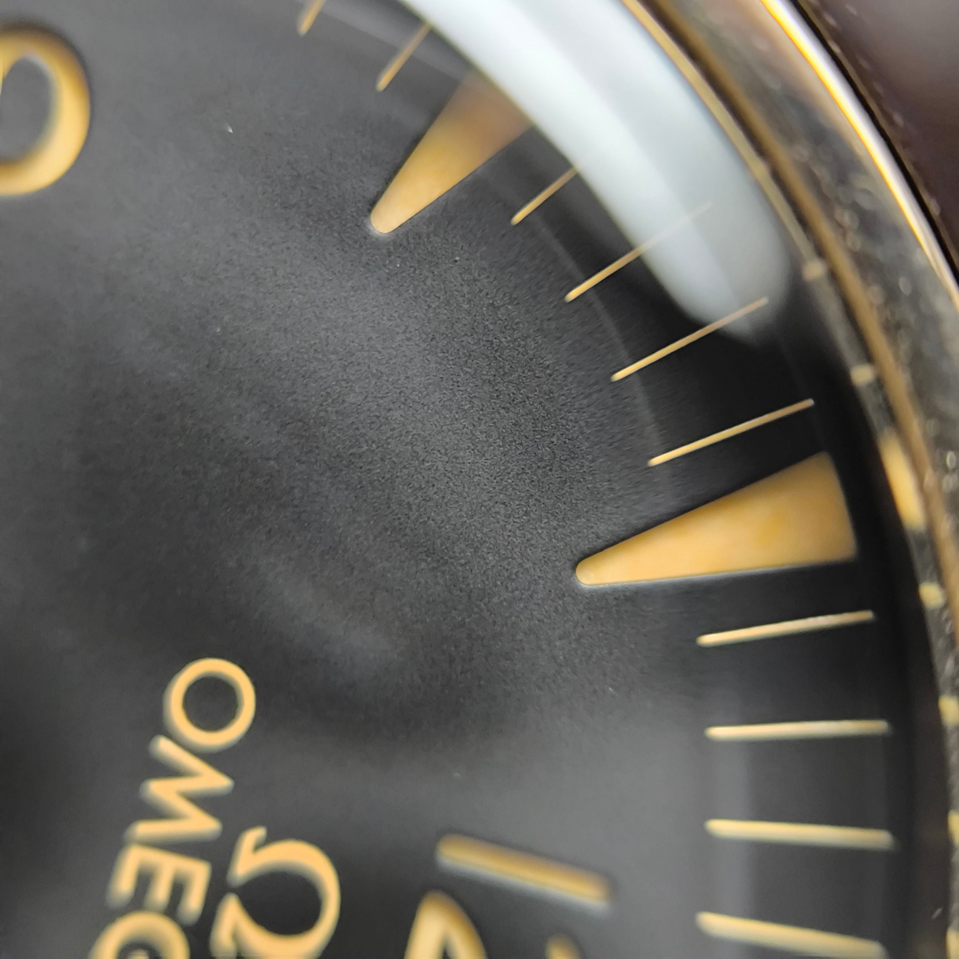 Omega Seahorse Series 41 234.92.41.21.10.001