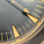 Omega Seahorse Series 41 234.92.41.21.10.001