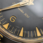 Omega Seahorse Series 41 234.92.41.21.10.001