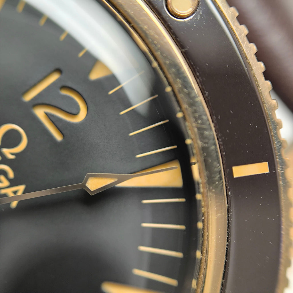 Omega Seahorse Series 41 234.92.41.21.10.001