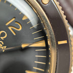 Omega Seahorse Series 41 234.92.41.21.10.001