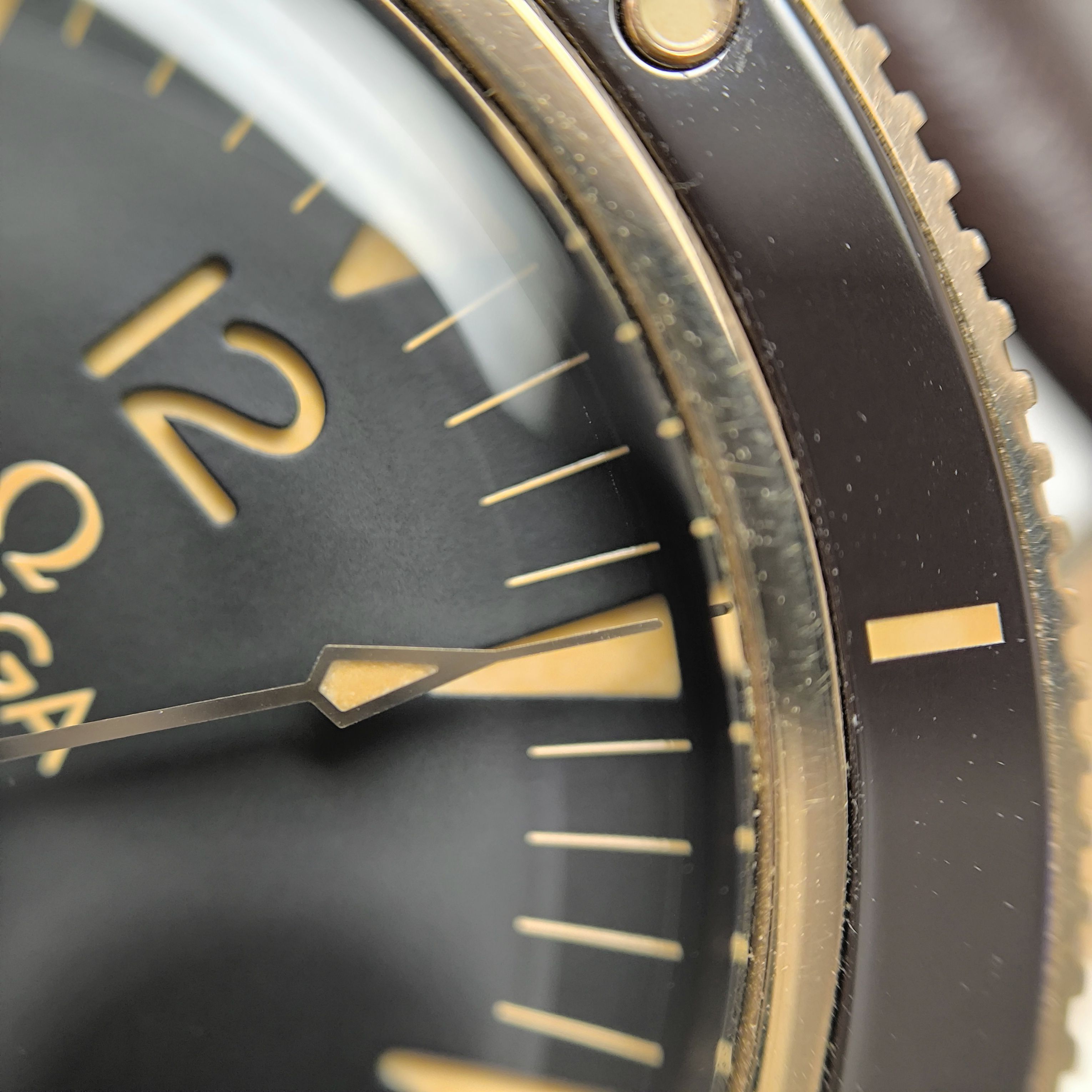Omega Seahorse Series 41 234.92.41.21.10.001