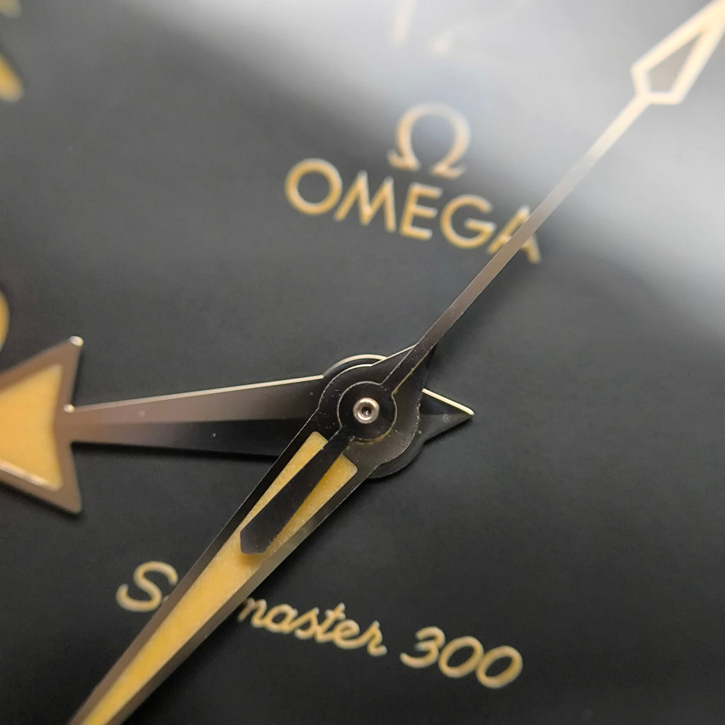 Omega Seahorse Series 41 234.92.41.21.10.001