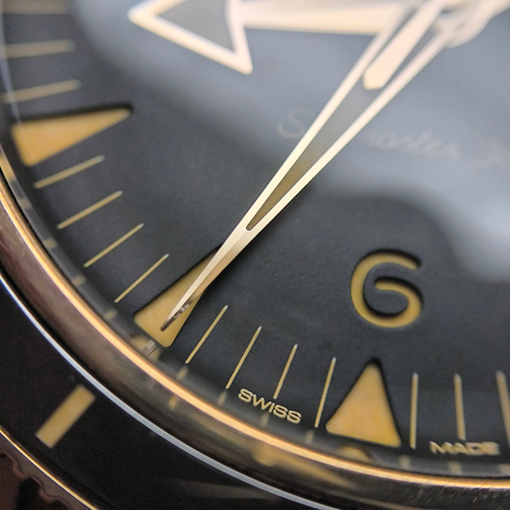 Omega Seahorse Series 41 234.92.41.21.10.001