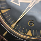 Omega Seahorse Series 41 234.92.41.21.10.001