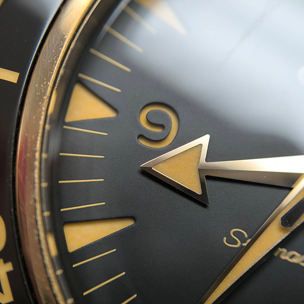 Omega Seahorse Series 41 234.92.41.21.10.001