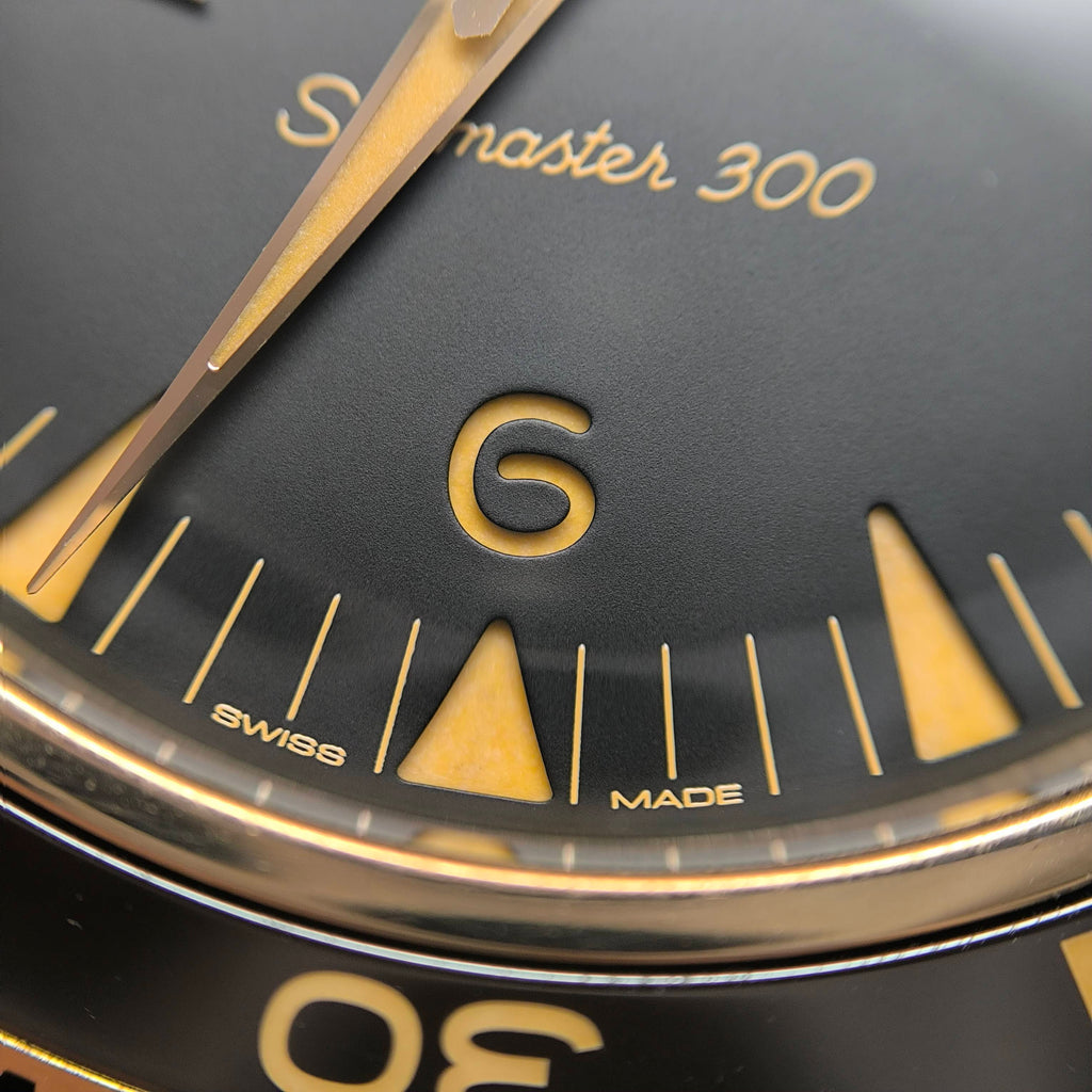 Omega Seahorse Series 41 234.92.41.21.10.001