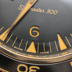Omega Seahorse Series 41 234.92.41.21.10.001