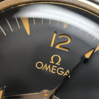 Omega Seahorse Series 41 234.92.41.21.10.001