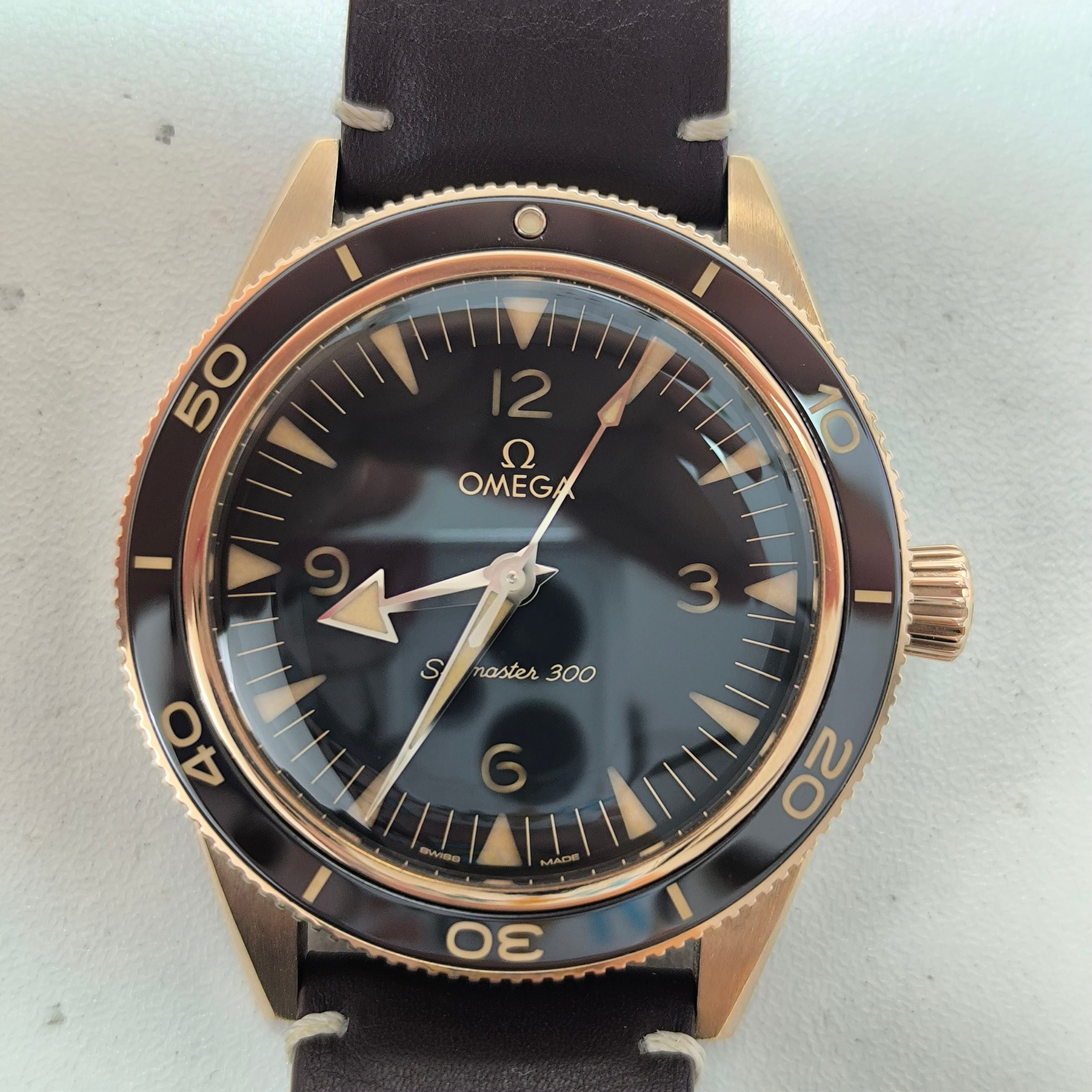 Omega Seahorse Series 41 234.92.41.21.10.001