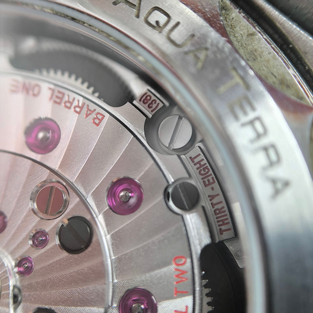 Omega Seahorse Series 43 220.10.43.22.03.001