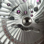 Omega Seahorse Series 43 220.10.43.22.03.001