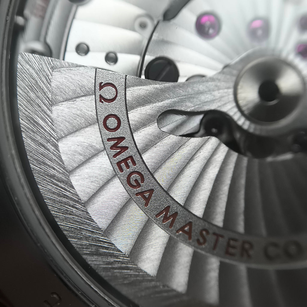 Omega Seahorse Series 43 220.10.43.22.03.001