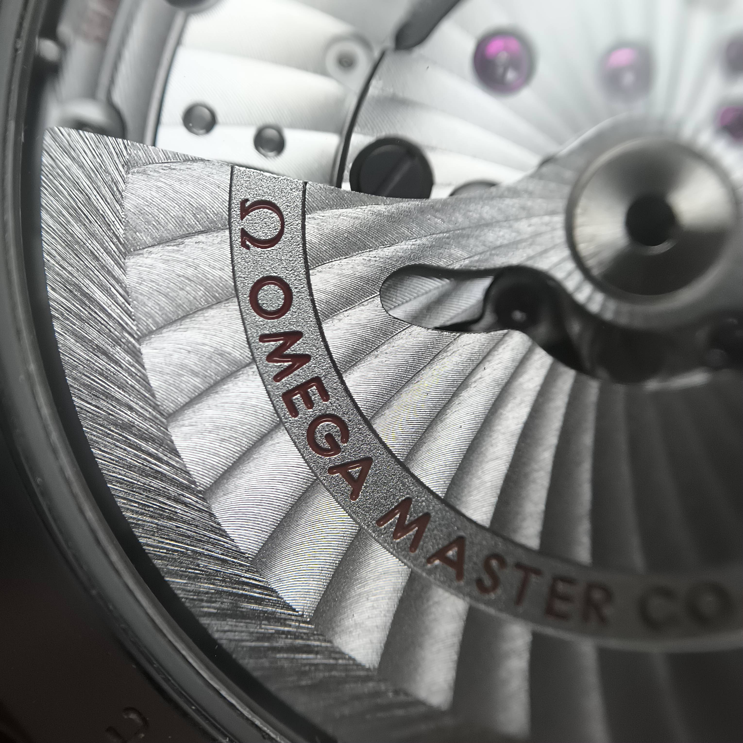 Omega Seahorse Series 43 220.10.43.22.03.001