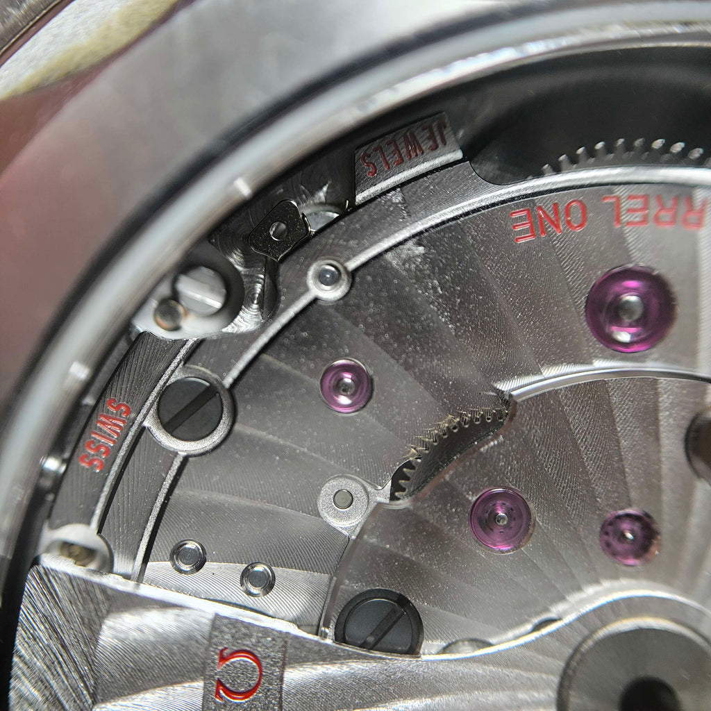 Omega Seahorse Series 43 220.10.43.22.03.001