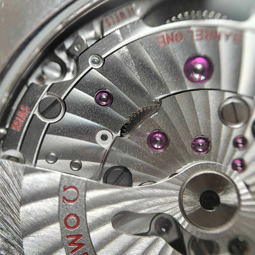 Omega Seahorse Series 43 220.10.43.22.03.001
