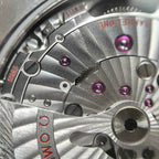 Omega Seahorse Series 43 220.10.43.22.03.001
