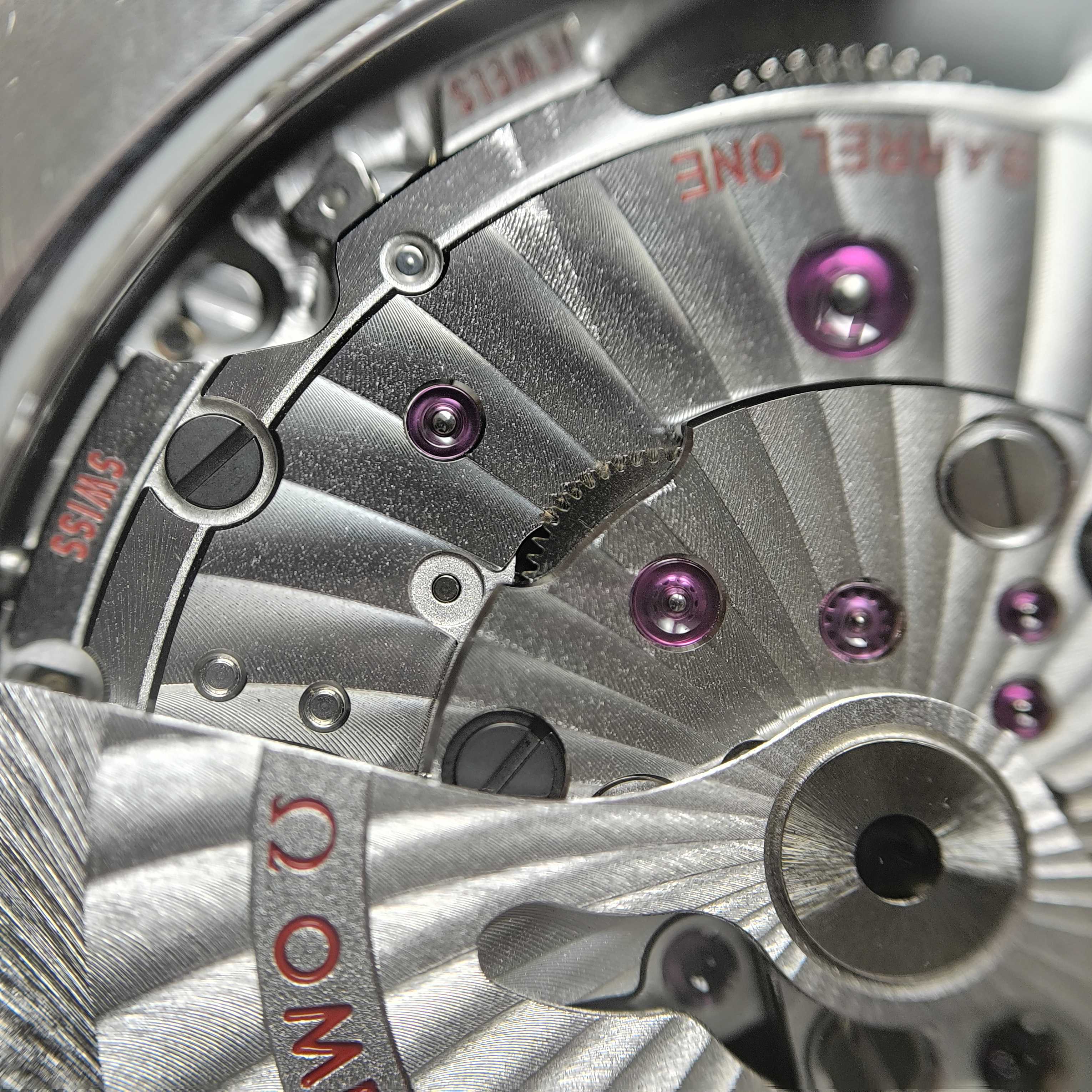 Omega Seahorse Series 43 220.10.43.22.03.001