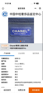 Chanel Blue Shoulder Bag