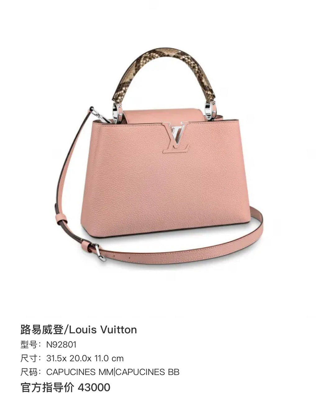 Louis Vuitton 31.5x 20.0x 11.0 cm N92801