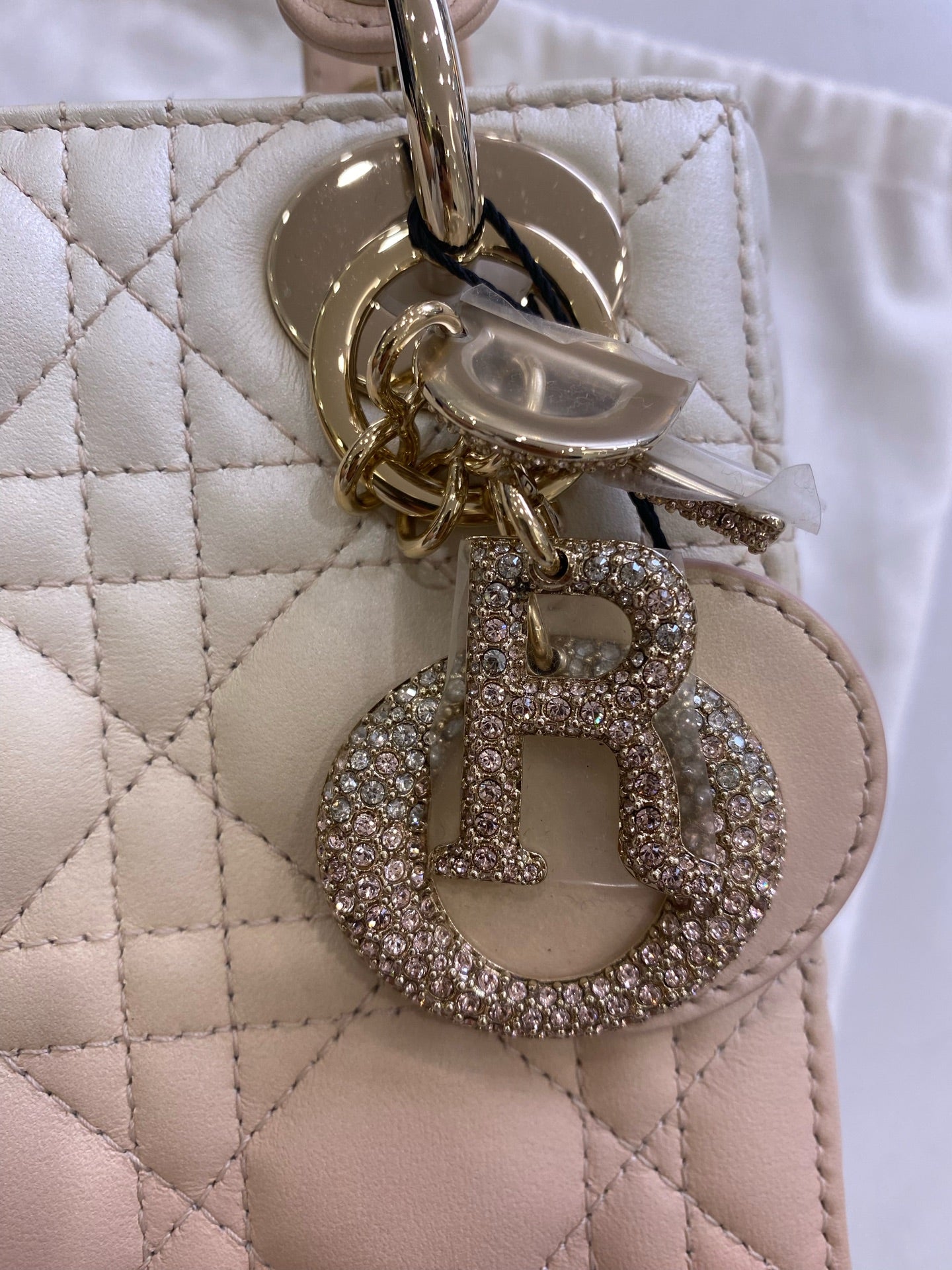 Dior Crossbody