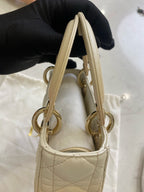 Dior Crossbody