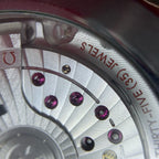 Omega Seahorse Series 42 210.30.42.20.10.001