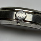 Omega Seahorse 41.5 millimeters 231.10.42.21.01.004