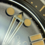 Omega Seahorse Series 42 210.90.42.20.01.001