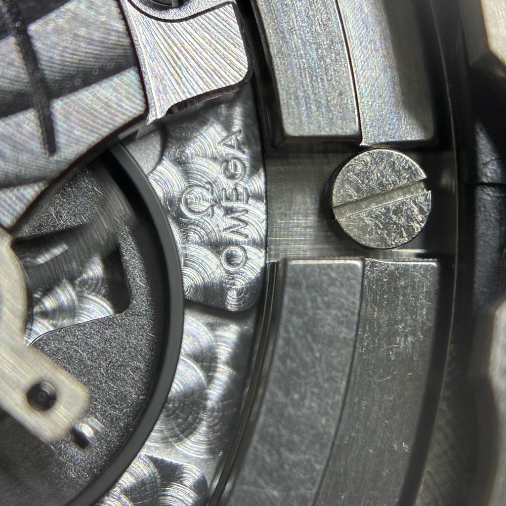 Omega Seahorse Series 42 210.90.42.20.01.001