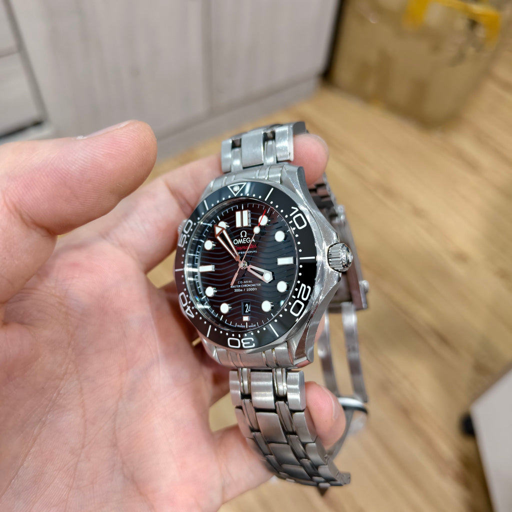 Omega Seahorse Series 42 210.30.42.20.01.001