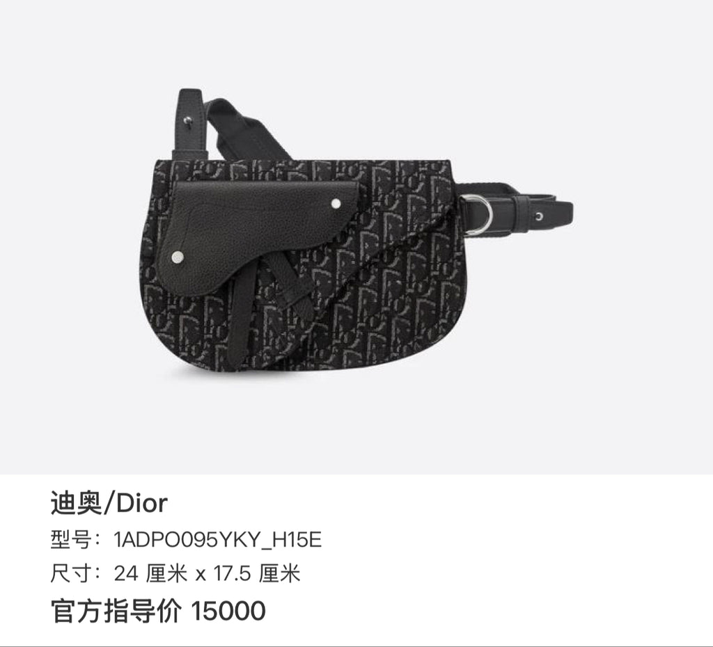 Dior Black Saddle Bag 24 centimeters x 17.5 centimeters 1ADPO095YKY_H15E
