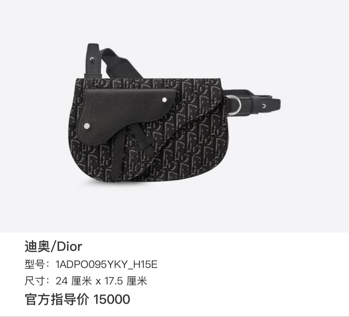 Dior Black Saddle Bag 24 centimeters x 17.5 centimeters 1ADPO095YKY_H15E