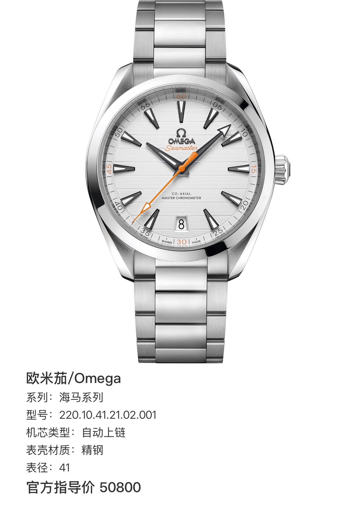Omega Seahorse Series 41 220.10.41.21.02.001