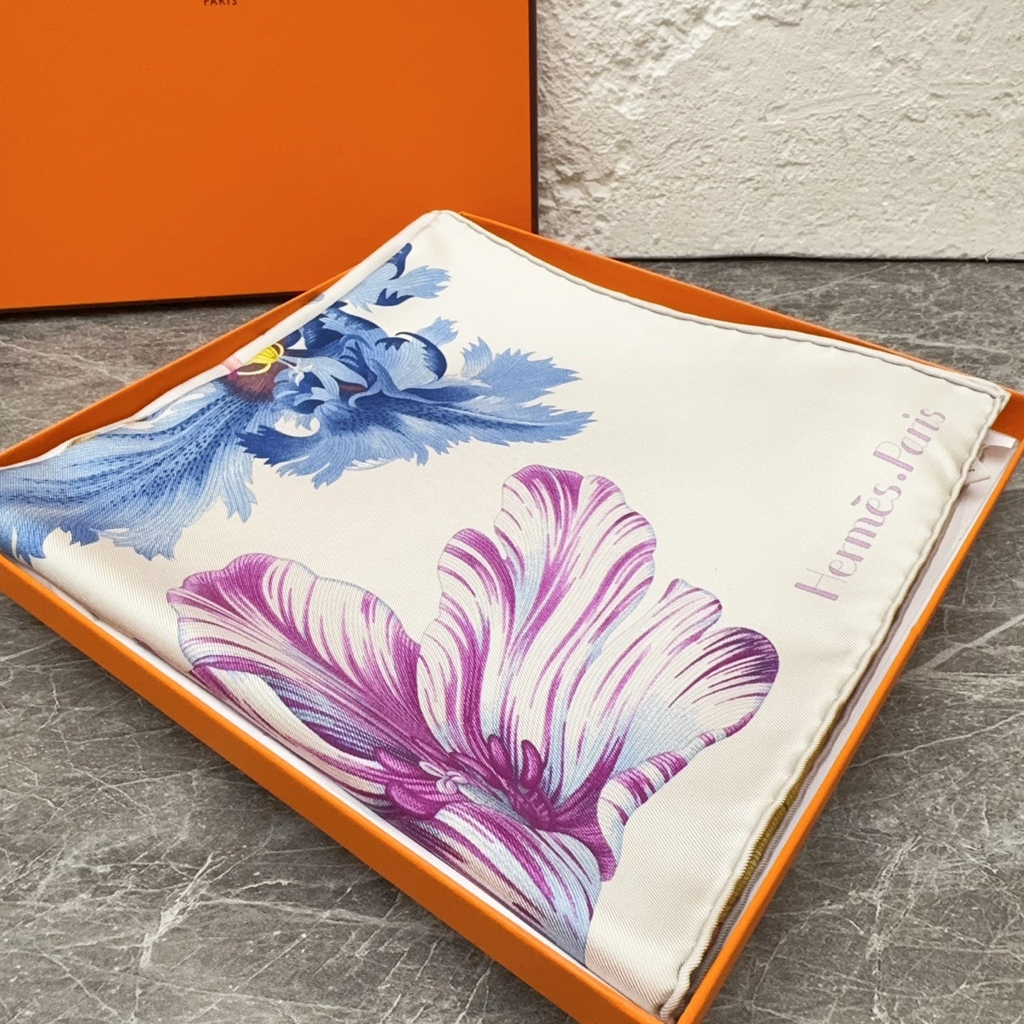 Hermes Scarf