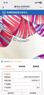 Hermes Scarf