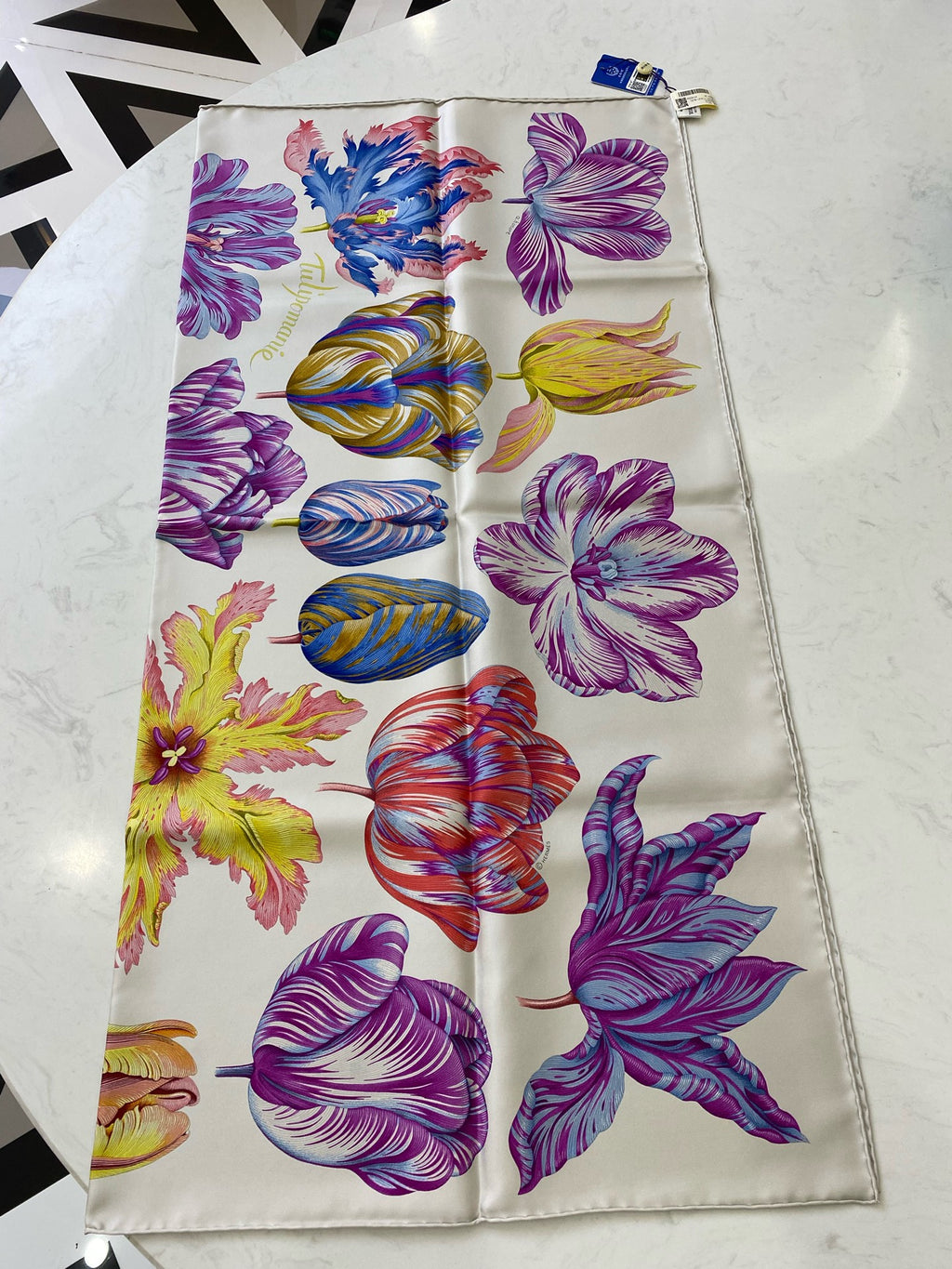 Hermes Scarf