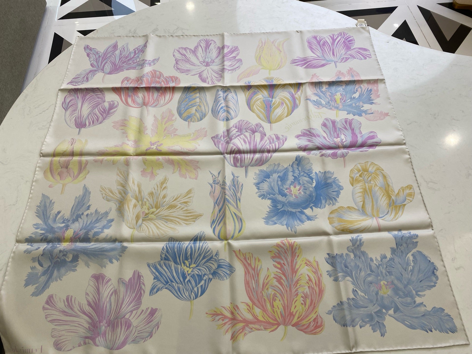 Hermes Scarf