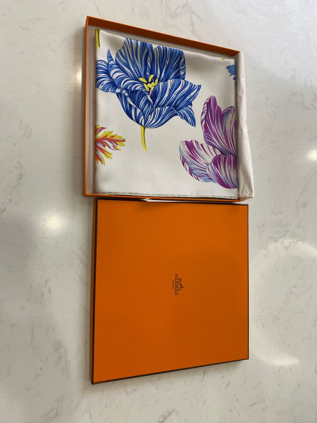 Hermes Scarf