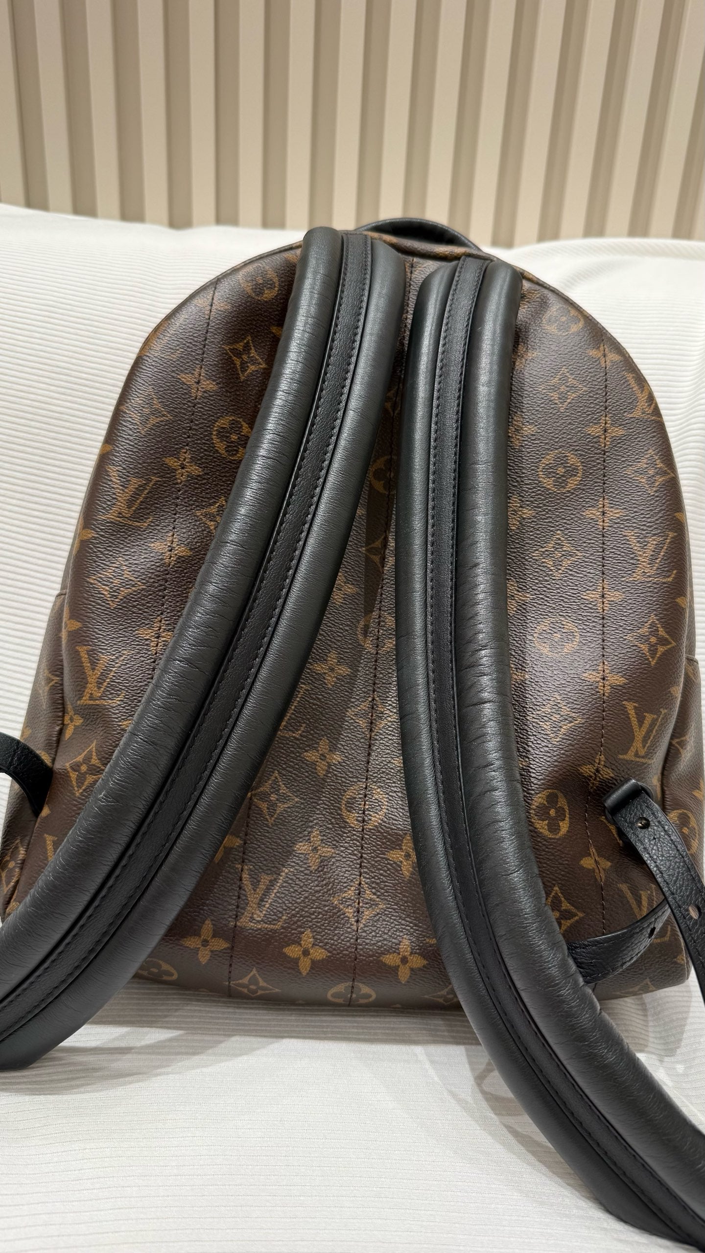Louis Vuitton Backpack