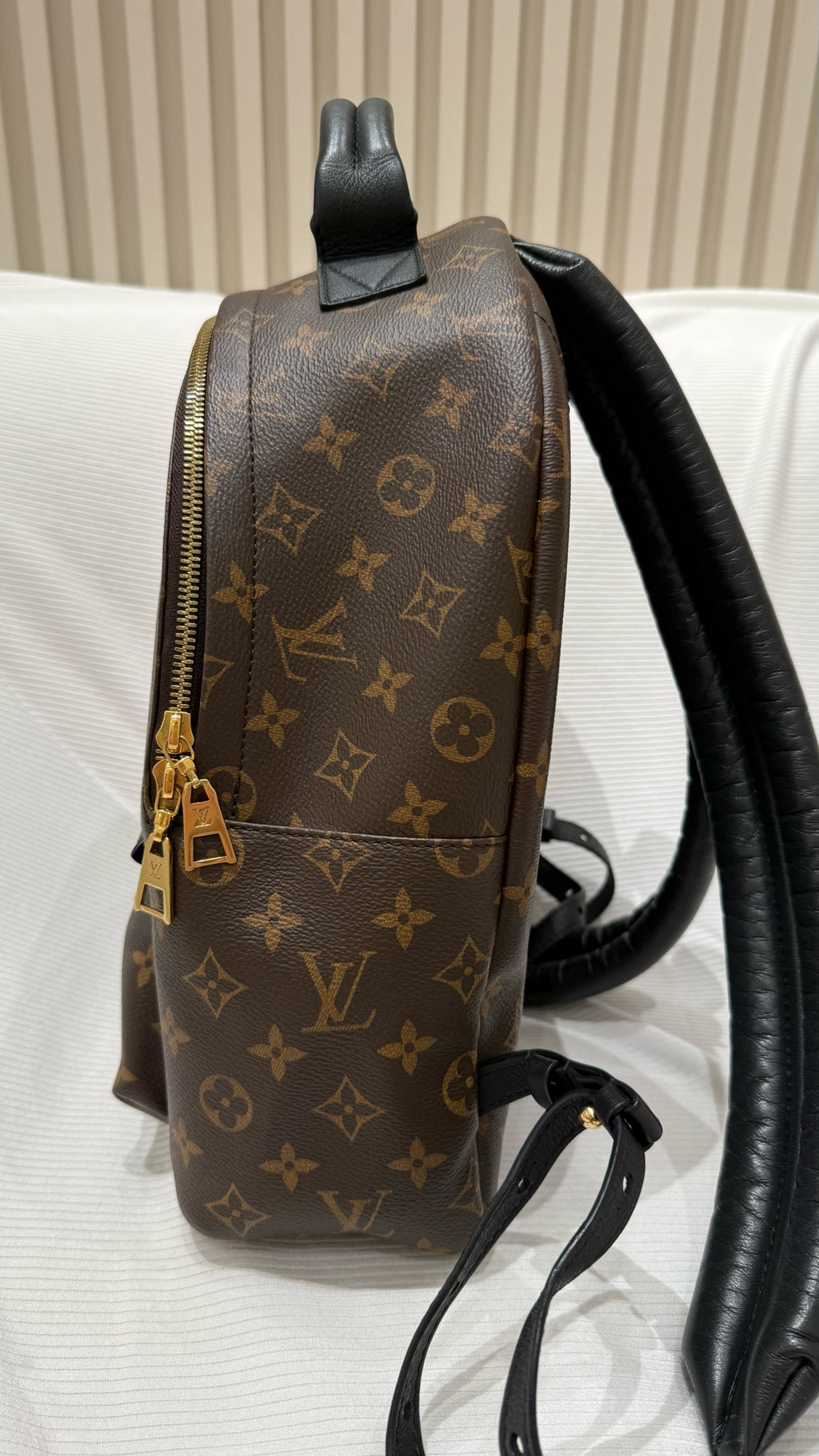Louis Vuitton Backpack