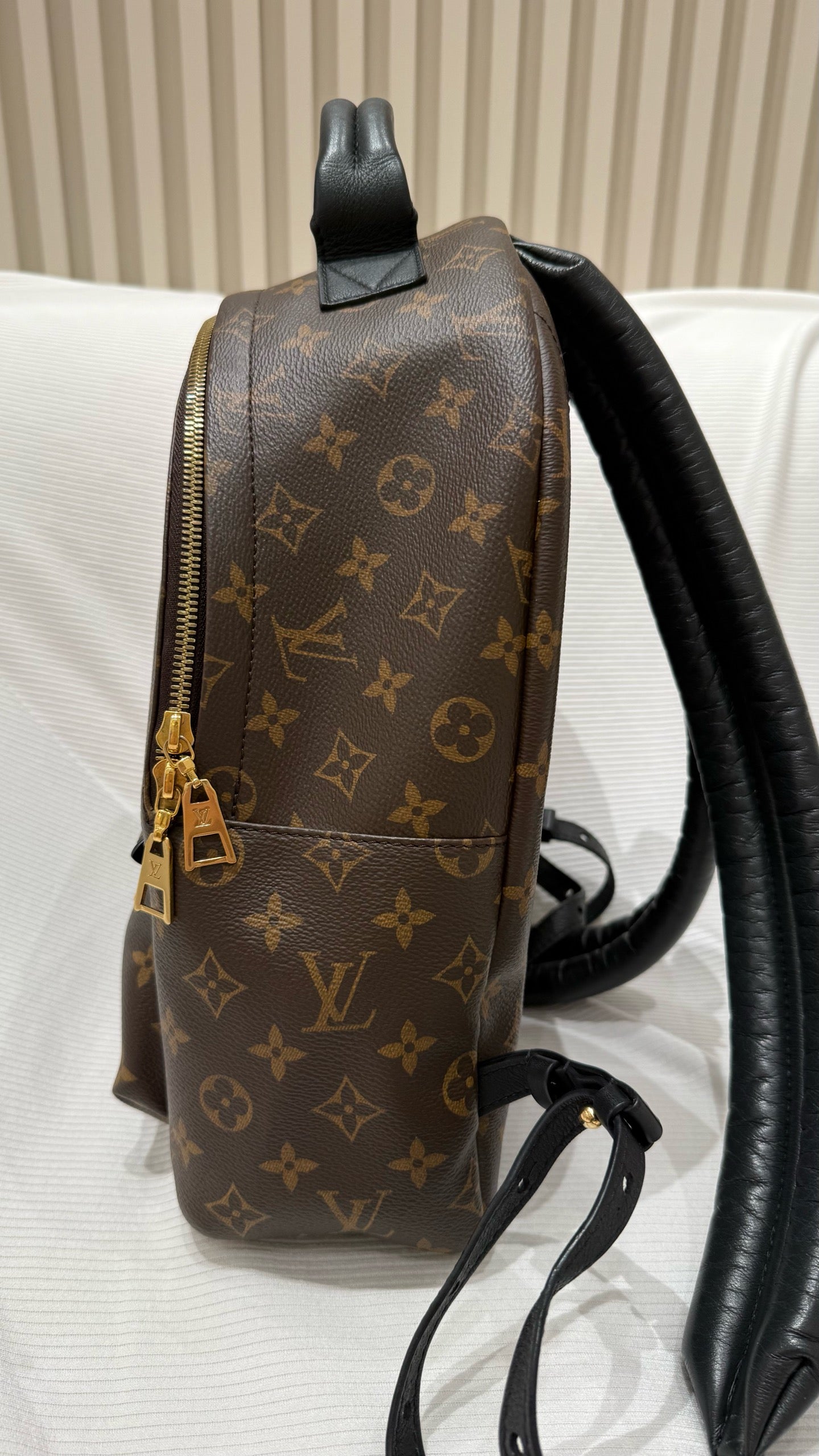 Louis Vuitton Backpack