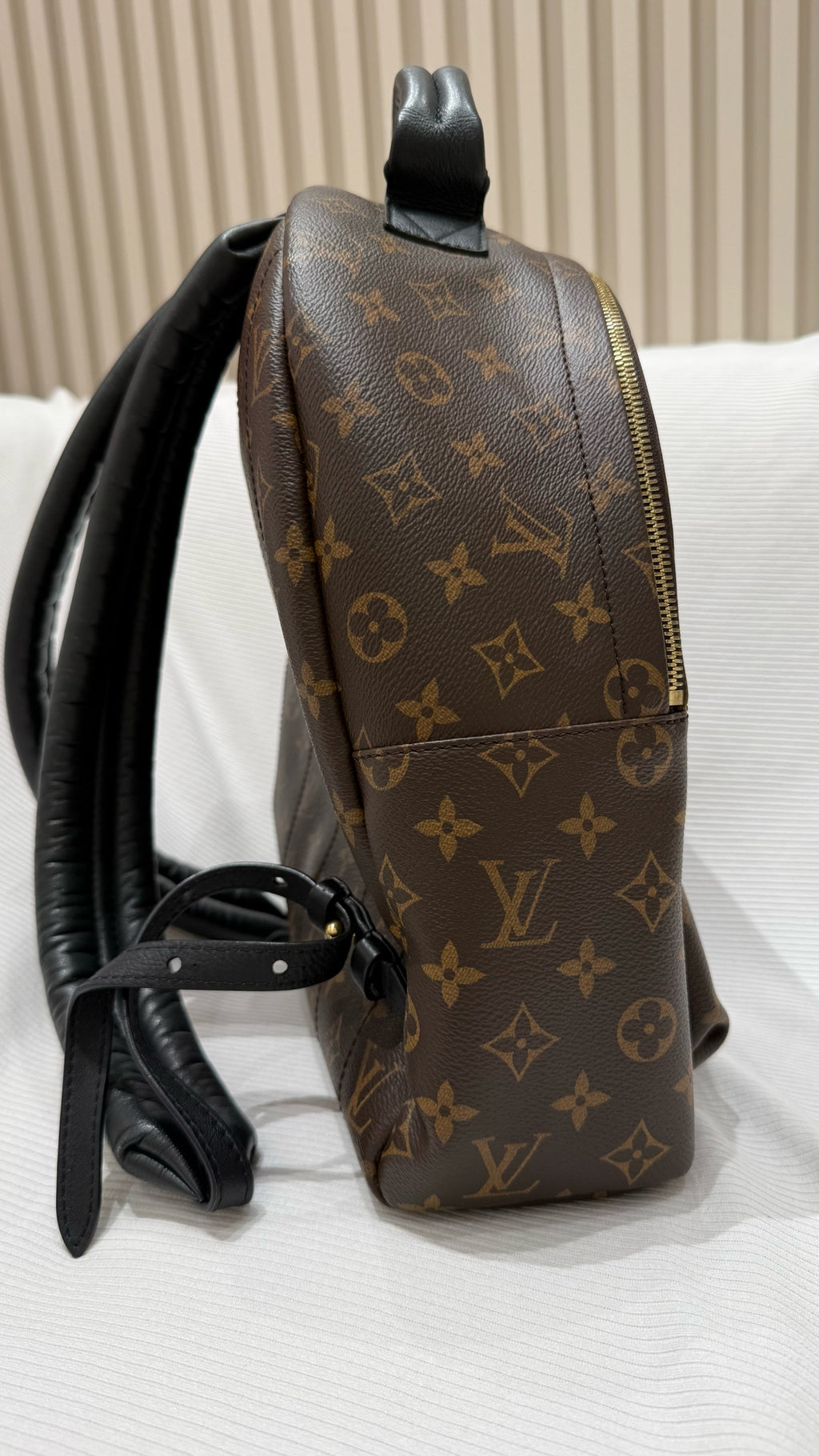 Louis Vuitton Backpack