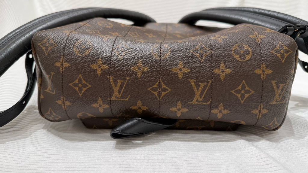 Louis Vuitton Backpack