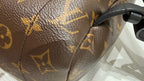 Louis Vuitton Backpack