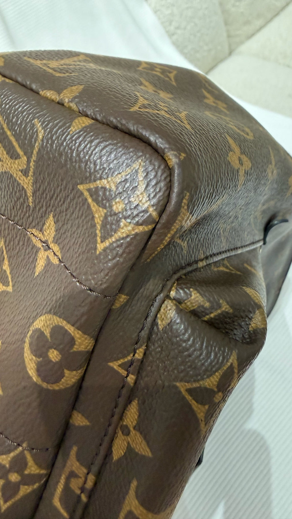 Louis Vuitton Backpack