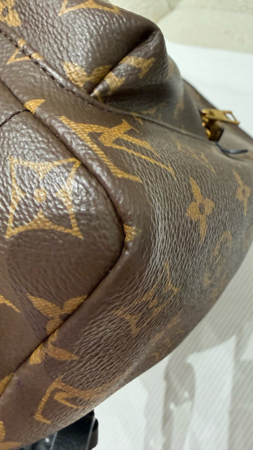 Louis Vuitton Backpack