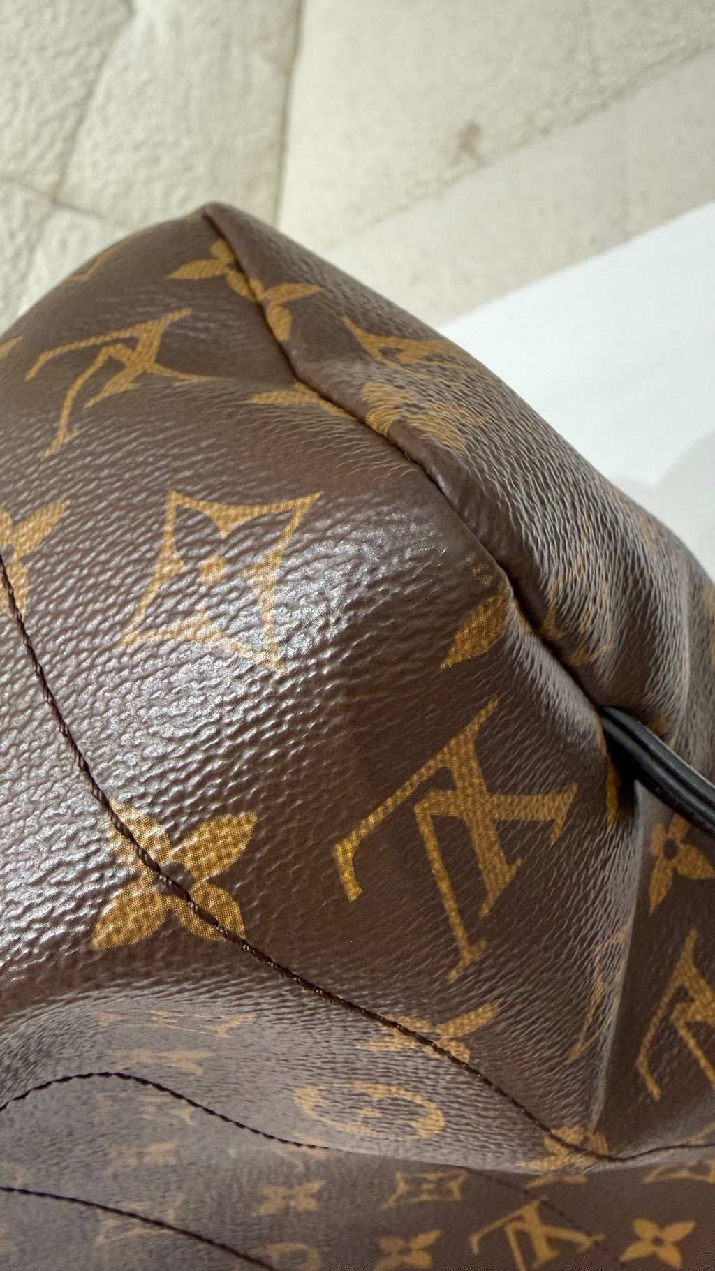 Louis Vuitton Backpack