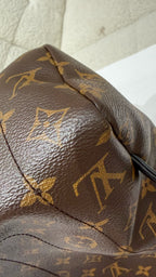 Louis Vuitton Backpack